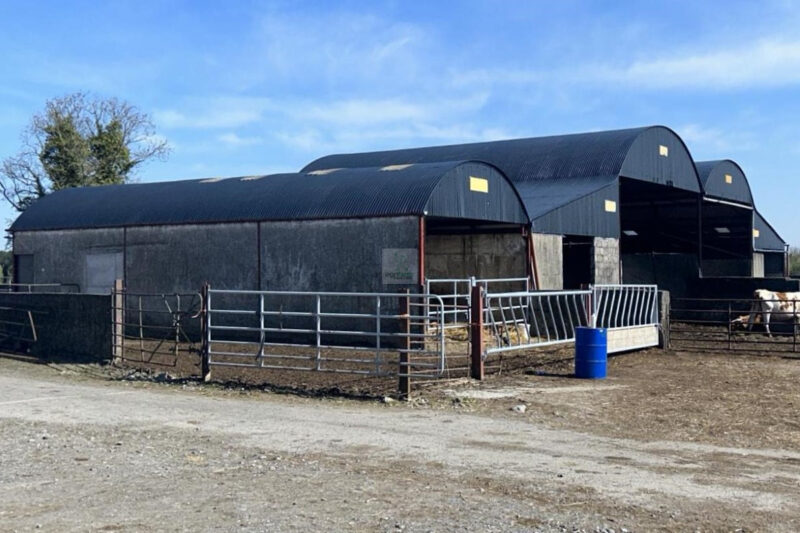 Cleaning and Restoration Specialists